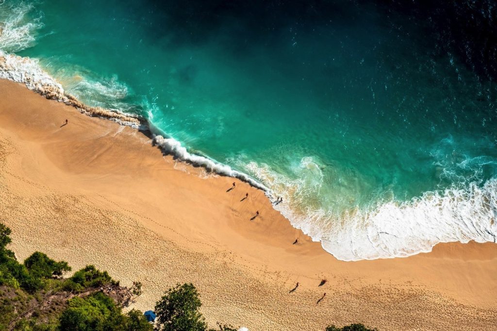  aerial view of a beach